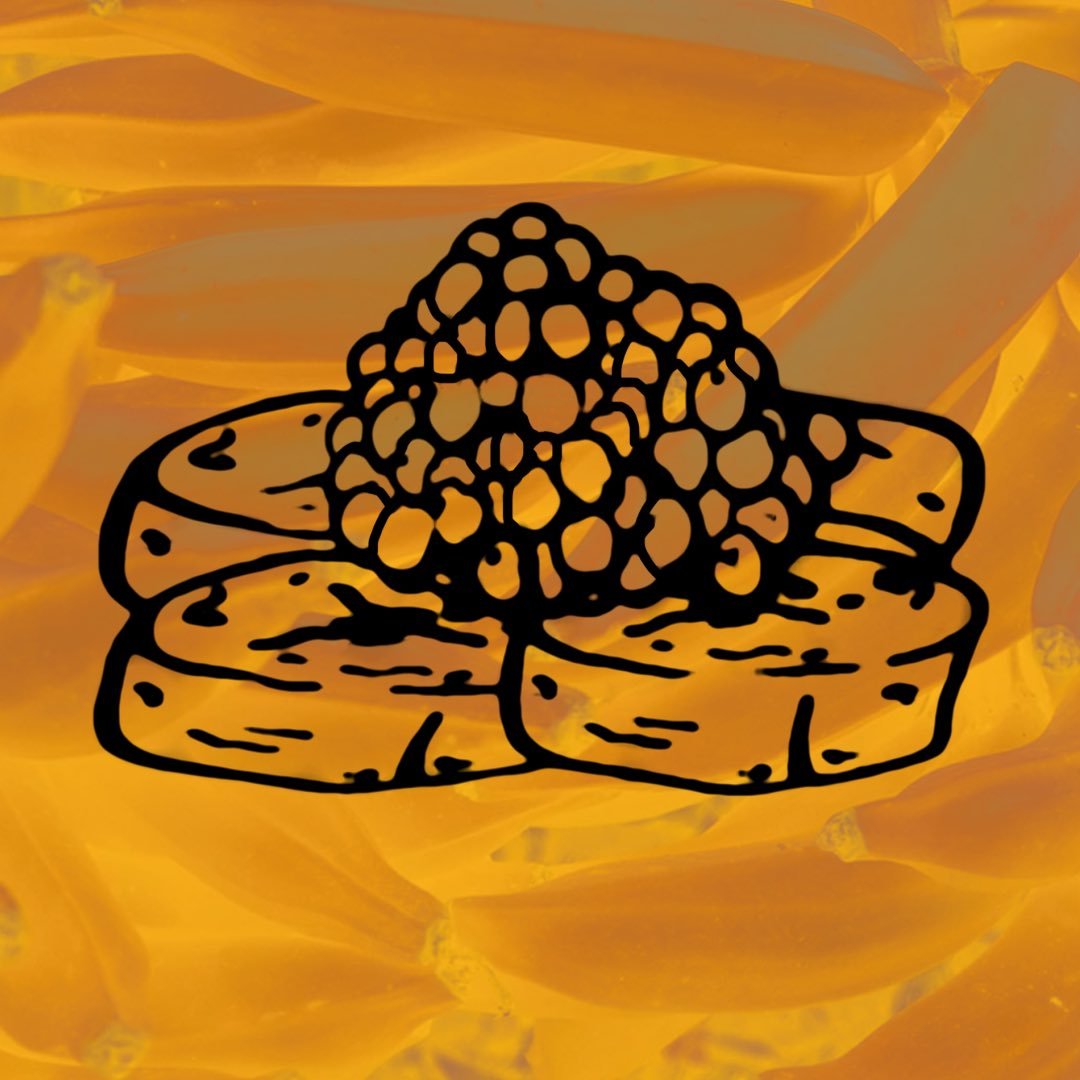 Plantains&Caviar. — profile photo taken from their public Instagram account @plantains.caviar