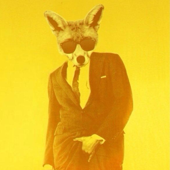 Dus Fox — profile photo taken from their public Instagram account @dusthefox