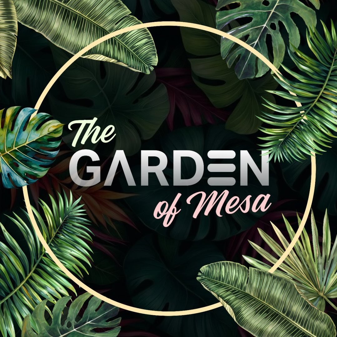 Mesa Lounge