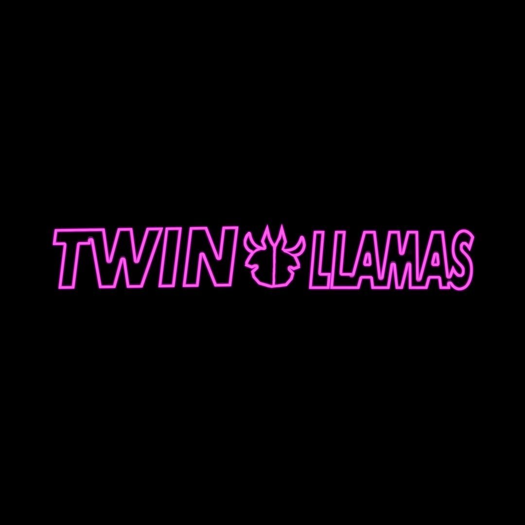 DJ Twinllamas — profile photo taken from their public Instagram account @djtwinllamas