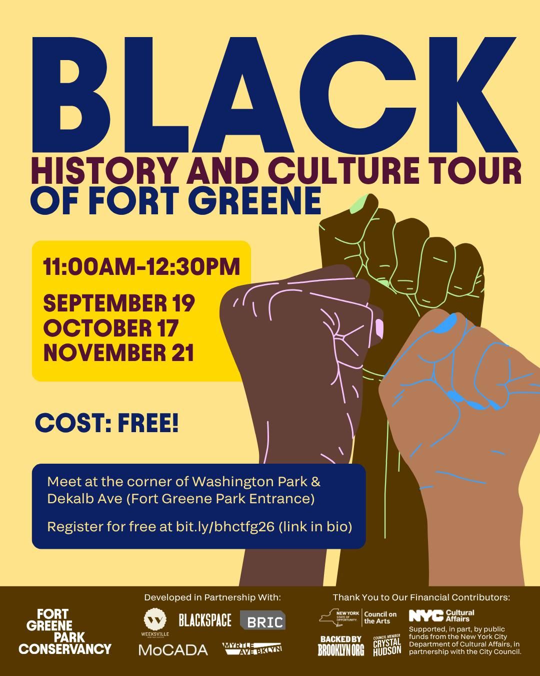 Black History and Culture Tour of Fort Greene