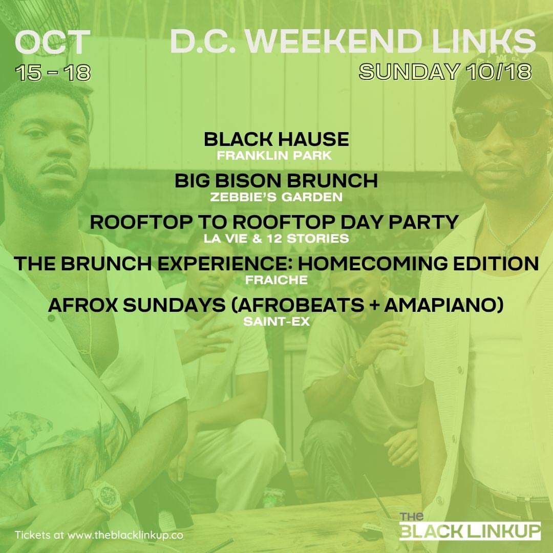 BLACK HAUSE THE DARTY — flyer 3