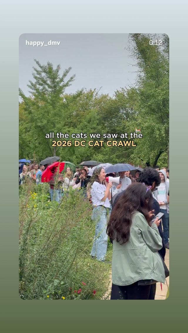 2026 DC CAT CRAWL