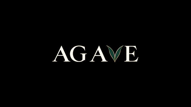 AGAVE: A Tribute to Beyoncé — Beyoncé-Inspired Dress Code, Sat, Nov 21, Tomorrowland Miami