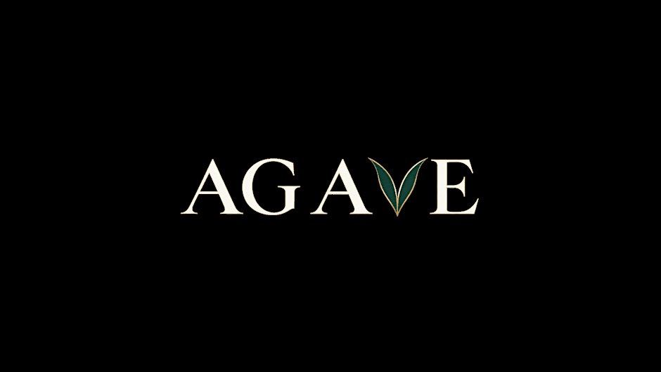 AGAVE: A Tribute to Beyoncé — Beyoncé-Inspired Dress Code