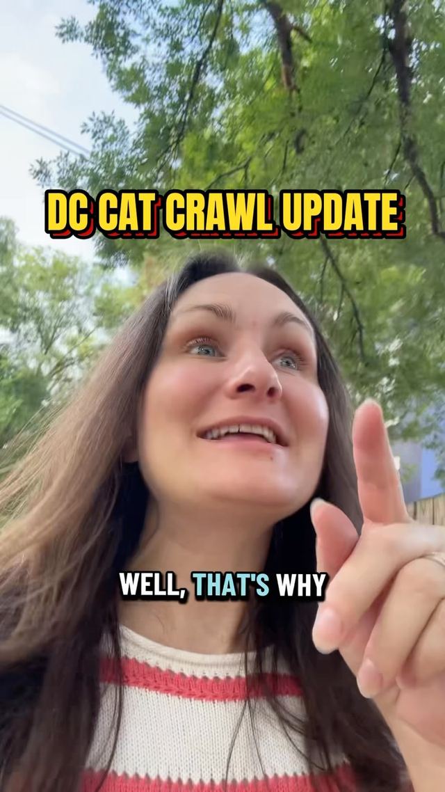 Petworth Pretty Kitties Cat Crawl, Sat, Oct 3