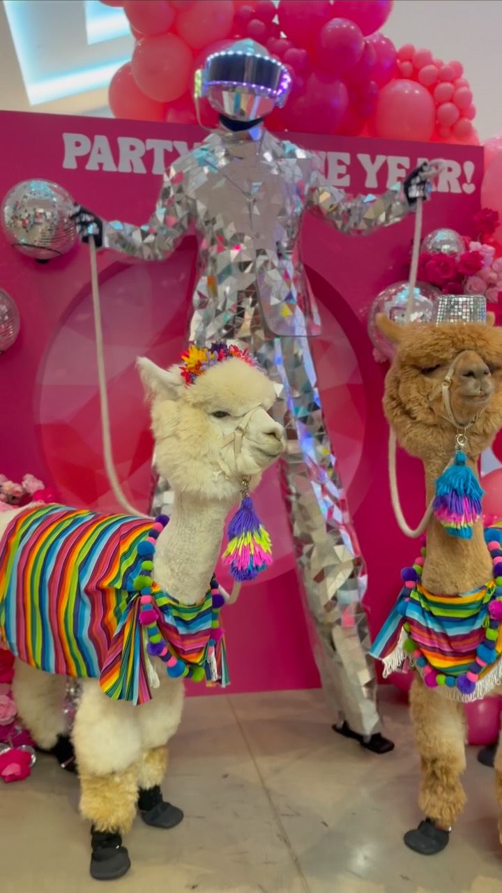 The Party Catalog’s 3rd Annual CELEBRATIONS EXPO