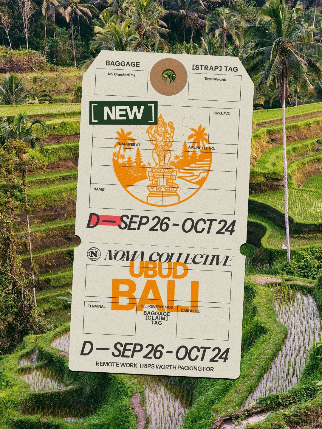 NOMA COLLECTIVE UBUD BALI