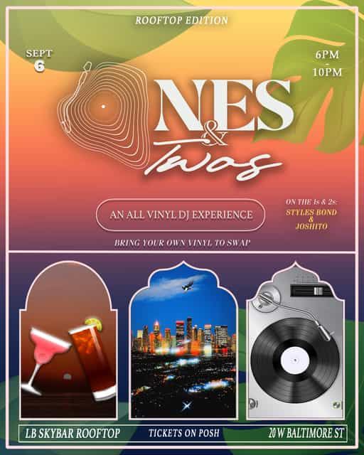 Ones & Twos All Vinyl DJ Experience