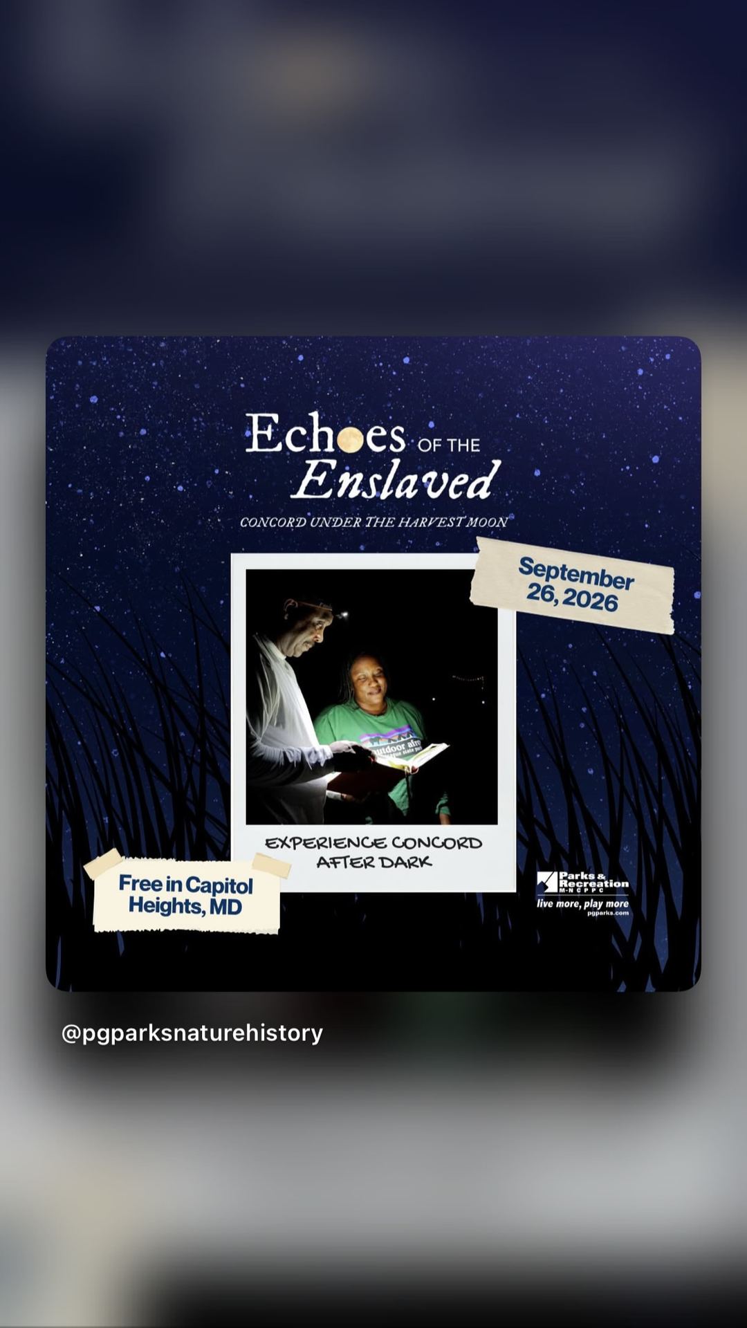 Echoes of the Enslaved: Concord Under the Harvest Moon